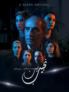 بيت نجيب