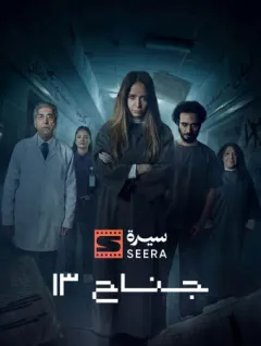 جناح 13