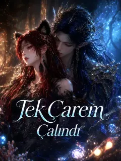 Tek Çarem Çalındı